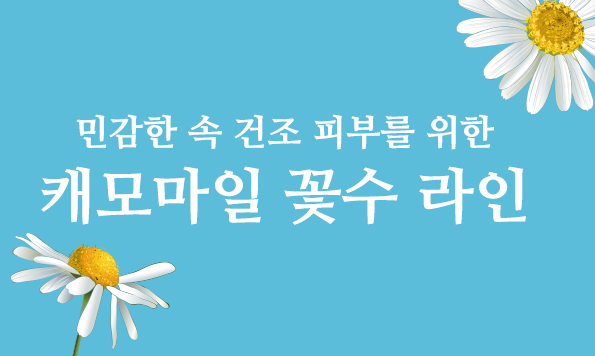 캐모마일